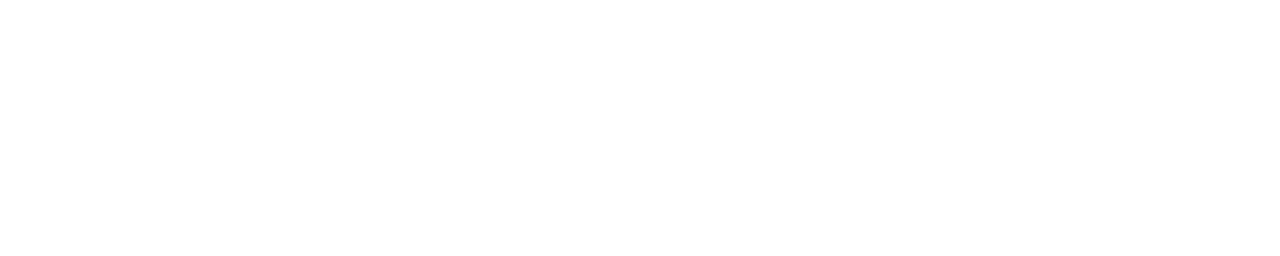 Predictorix
